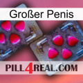 Großer Penis 15